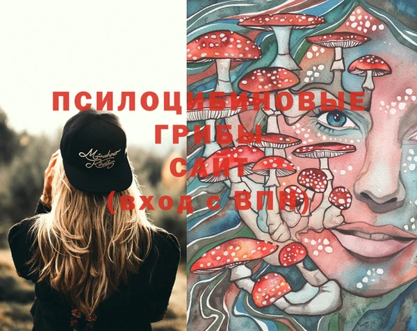 прущие крисы Алексеевка