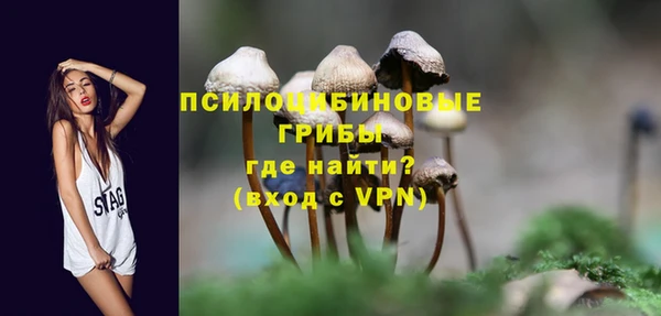 спиды Алзамай