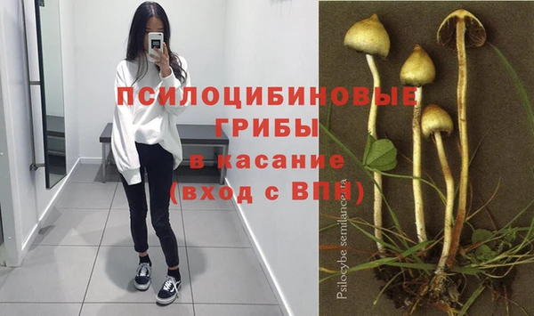 прущие крисы Алексеевка