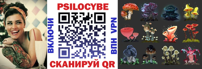 как найти наркотики  Жуков  Галлюциногенные грибы Psilocybe 